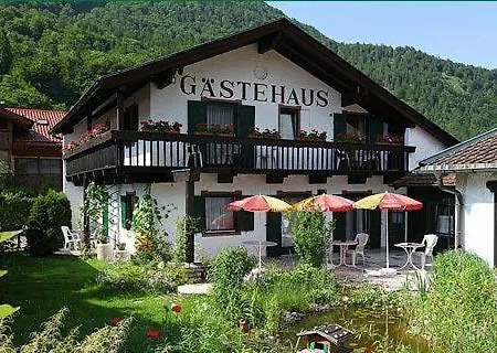 Edelweiss